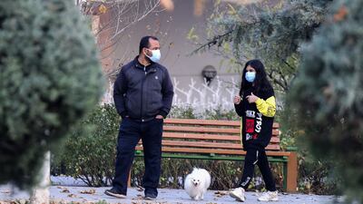 The proposed law would prohibit 'importing, raising, assisting in the breeding of, breeding, buying or selling, transporting, driving or walking, and keeping in the home wild, exotic, harmful and dangerous animals'.