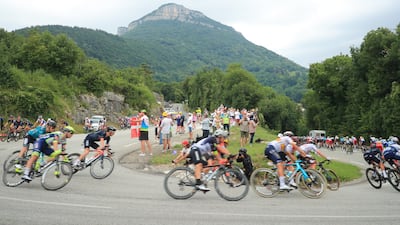 The peloton during Stage 10.