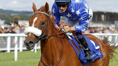 Djainka Des Forges won the Hatta International Stakes last year and his among the favourites this year. Steven Cargill / Racingfotos.com