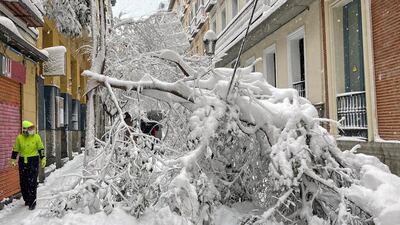 A man walks past trees that have fallen on a street during a heavy snowfall in the centre of Madrid, Spain. Reuters