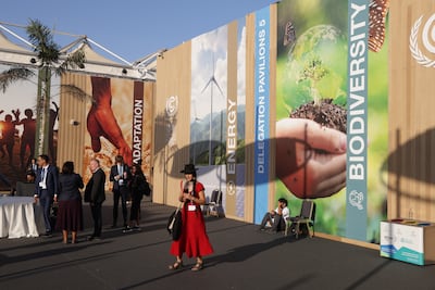 Participants attending the UN climate conference in Sharm El Sheikh, Egypt. Getty