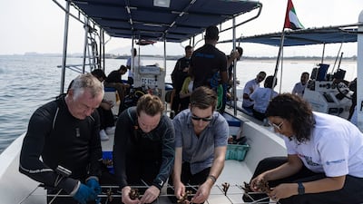 Mr Owen and volunteers attach pieces of coral to create the artificial reef. Antonie Robertson / The National
