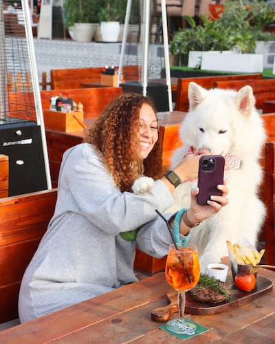 Dogs are made welcome at Horse and Hound dogs. Photo: Al Habtoor Polo Resort