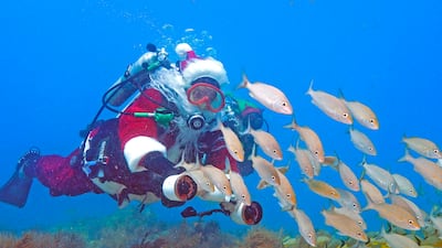 Spencer Slate, owner of a Keys dive shop, dons a Santa costume annually to offer underwater holiday photo opportunities and help promote awareness of an annual fundraiser for a local children's charity. Florida Keys News Bureau / AP