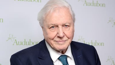 David Attenborough is looking for someone to remix a recording he took of a tribe in Bali from 1956. Getty Images