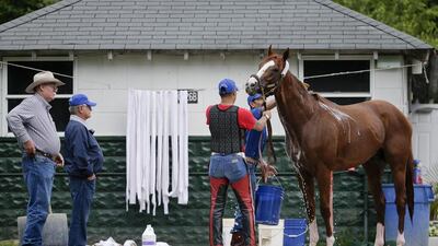 Co-owner Steve Coburn, far left, and trainer Art Sherman, second from left, watch as California Chrome is bathed after a workout. Julie Jacobson / AP Photo