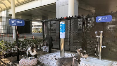 The facility includes drinking water, showers and a self-cleaning 'pee pole'. Kansai Airport via Reuters