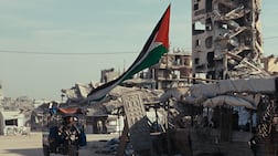 The video, directed by Lina Makoul, shows both destruction and tender family moments in Gaza and Jerusalem. Photo: Together For Palestine