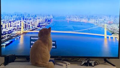 Amy enjoys a David Attenborough documentary.