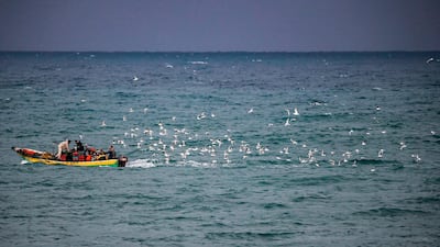 Seagulls follow Palestinian fishermen in their boat during rain in the Mediterranean sea off the coast of Gaza City. AFP