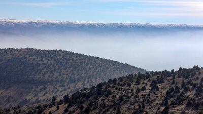 This picture taken on January 11, 2023 shows a view of juniper trees in a forested mountainous area near the village of Barqa in Lebanon's eastern Baalbeck district. - Braving the bitter cold, Lebanese villagers have been patrolling a mountainside in the country's north, trying to protect trees from loggers who roll in under the cover of darkness. (Photo by Ibrahim AMRO / AFP)