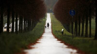 An old woman walks her dog through an alley of trees in Frankfurt, Germany, on a dark and rainy Tuesday. Michael Probst / AP