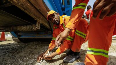 Government laborers pick up the crushed pieces of illegal ivory to dispose of them. Victor Besa for The National