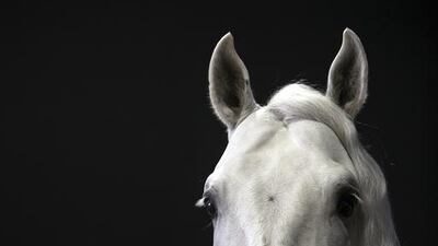 In the end, Cavalia, with its overlying theme of the bond between man and horse, leaves the audience with a deep appreciation — and maybe even a better understanding — of Emirati tradition and heritage. Silvia Razgova / The National
