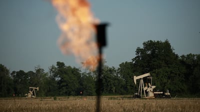 Oil prices have been extremely volatile this year. Bloomberg