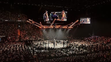 The UFC held it's 23rd show in the UAE on Saturday night. UFC