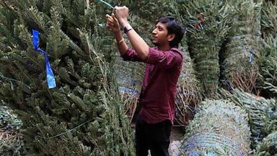 Vicky Venkatesh, owner of Fresh Flowers handles a delivery of Christmas trees at his shop Satwa, Dubai. Satish Kumar / The National