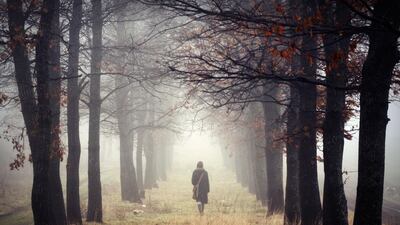 The novel chronicles two quests, each involving an effort to find authenticity, autonomy and self-knowledge in other worlds. Getty