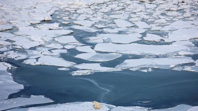 Etihad's flight to Los Angeles provides views of the North Pole. Yi Lu / Viewstock / Corbis