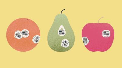 The game was designed by Annie Macmillan and Lukas Steinman in Nova Scotia, Canada