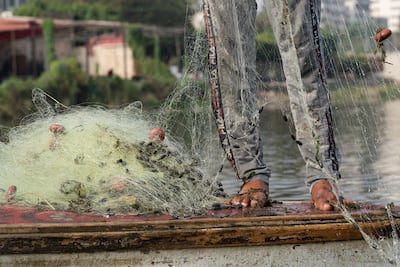 Many of Cairo's fisherwomen have worked on the Nile their whole lives. They delegate some physically taxing aspects of the job to day labourers who come down to the docks looking for work. Mahmoud Nasr/ The National
