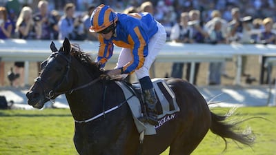 Magician, here with jockey Ryan Moore on their way to winning the Breeders' Cup Turf horse race at Santa Anita Park in California on November 2, 2013, is one of the many international runners in the Sheema Classic on Dubai World Cup night. Mark J Terrill / AP Photo