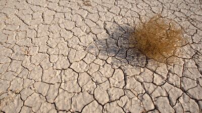 The Dead Sea in Jordan is part of a region that is slowly drying up and could be gone completely in 50 years if no action is taken. Reuters