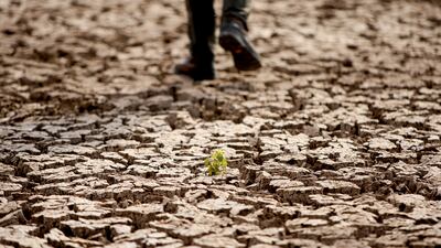 A global transition away from hydrocarbons will have major impacts on the Middle East's climate. Reuters