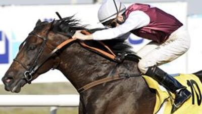 Plavius raced to victory at Jebel Ali in the mile handicap.