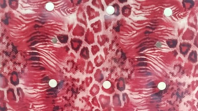 Rachel Lopez has been documenting Mumbai taxi ceilings since 2017.