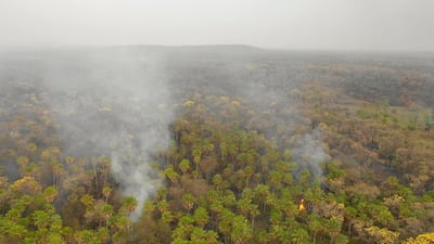 In this aerial view smokes rises from forest in Otuquis National Park, in the Pantanal ecoregion of southeastern Bolivia, on August 26, 2019. Like his far right rival President Jair Bolsonaro in neigboring Brazil, Bolivia's leftist leader Evo Morales is facing mounting fury from environmental groups over voracious wildfires in his own country. While the Amazon blazes have attracted worldwide attention, the blazes in Bolivia have raged largely unchecked over the past month, devastating more than 9,500 square kilometers (3,600 square miles) of forest and grassland. / AFP / Pablo COZZAGLIO