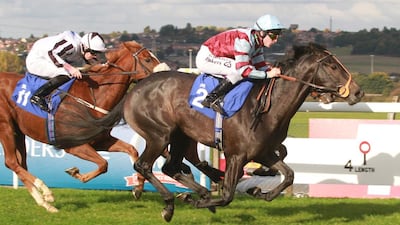 Calder Prince has won both his career races under the ownership of first-time owners, an English couple. Courtesy racingfotos.com