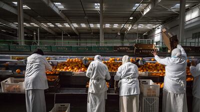 Mafa exports between 100,000 and 115,000 tonnes of agricultural products annually. Getty Images