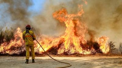 A fireman fights a blaze in Benespera, Guarda, northern Portugal. EPA