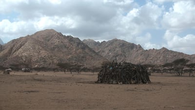 One of the huts that a tribal family has built for shelter. Wide spaces are left between each hut and the next, so as to give each family a degree of privacy. Photo / Jihad Abaza