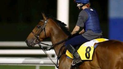 Ambitious Dragon was the first on the track during a Monday morning workout at Meydan Racecourse in preparation for Dubai World Cup night Saturday.