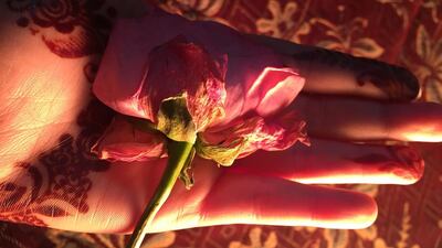 The rose is a more appropriate symbol of Valentines day than it might initially seem. Photo: Wafaa Saeed AlHadrami
