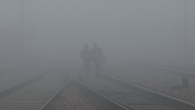 Heavy fog reduced visibility to 25 metres in some areas as Delhi was hit by a cold snap. Reuters