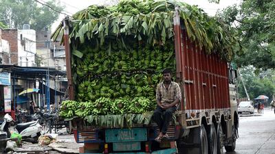 With the currency near record lows, there are benefits and pain for local businesses. AFP