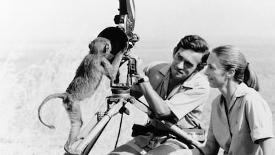 Anthropologist Jane Goodall with husband Hugo van Lawick in 1974. AP