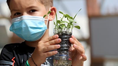 Dubai youngster Gabriel works in an aquaponic herb garden at an eco-friendly summer camp at the city's Arbor School. Chris Whiteoak / The National