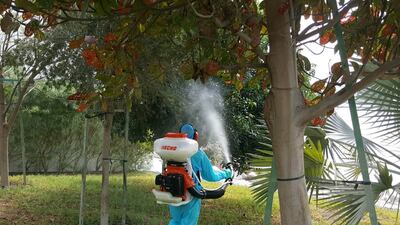Tadweer's pest control department has stepped up efforts to reduce mosquitoes and flies in Abu Dhabi before the breeding season. Courtesy Tadweer