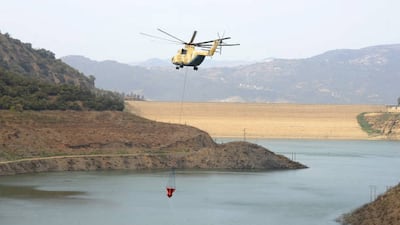 In addition to soldiers on the ground, the army has been using helicopters to extinguish the fires.