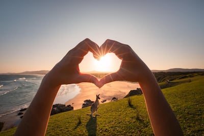 An image from the 'Now’s The Time to Love NSW' campaign. Courtesy: Destination NSW