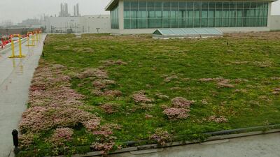 Car maker Ford’s Rouge Centre, at its car plant in Dearborn, Michigan, had the world’s largest living roof measuring 10.4 acres, designed by McDonough, when it opened in 2004. Rebecca Cook / Reuters