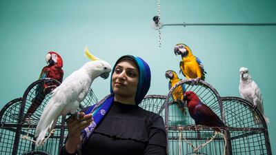 Birds trainer Nada Abdullah plays with a yellow-crested cockatoo at the Parrot Academy in Cairo, Egyp. EPA