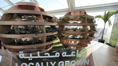 Spherical gardens where food can be grown sustainably are on display at the festival. Chris Whiteoak / The National
