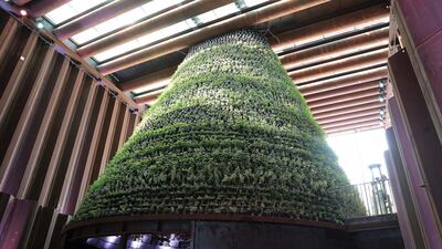 The biotope at the Netherlands pavilion was a big attraction that showed how in a miniature world climate was controlled naturally and could nurture plants in the desert heat. Pawan Singh / The National