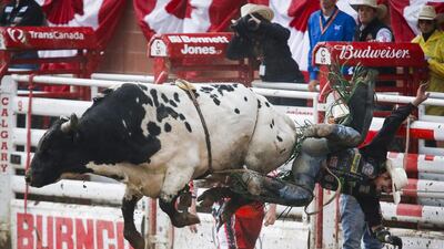 JB Mauney, from North Carolina, comes off Checkered Flag during the bullriding rodeo semifinal action at the Calgary Stampede in Calgary, Alberta. Jeff McIntosh / The Canadian Press via AP