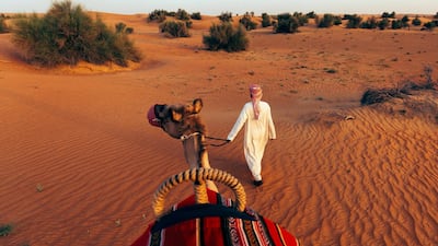 Full-board stays include two desert activities.